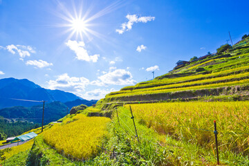 Maruyama, Rice Terraces in Mie prefecture, Japan