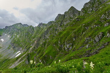 Summer in the mountains