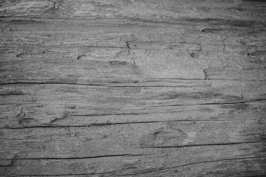Vintage background image of the old gray wooden has a rough texture and different grain patterns. There are straight and curved lines. There are vignettes and the middle of the image for copy space.