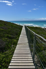 The boardwalk makes it easy to access the beach at Koppie Alleen in De Hoop Nature Reserve