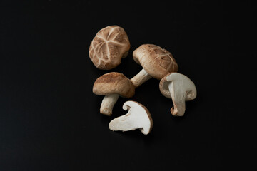 どんこしいたけ_黒背景