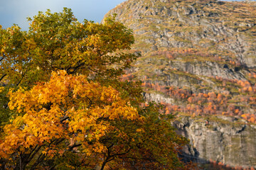 Fototapeta na wymiar Autumn in the mountains