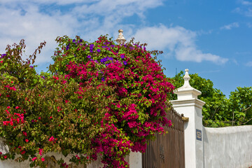 old traditional chimney from the Algarve in Tavira, Portugal