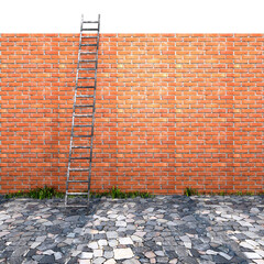 Ladder on brick wall