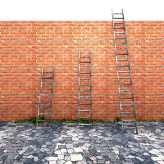 3 Ladder on brick wall	
