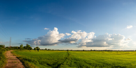 Grassland with dirt road in rural scene on blue sky background