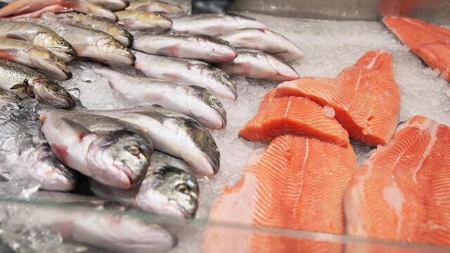 Group of different fish, dorada and salmon on ice. counter with fresh fish at the grocery store.