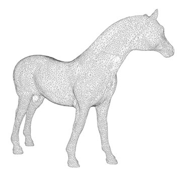 Horse frame made of black lines on a white background. Detailed horse from lines. 3D. Vector illustration