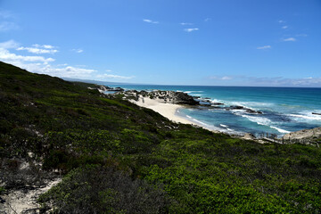 Perfect colors, blue sky, virgin white beaches, green-grown dunes. And a crystal clear sea. The coastline at De Hoop Nature Reserve, Western Cape, South Africa.