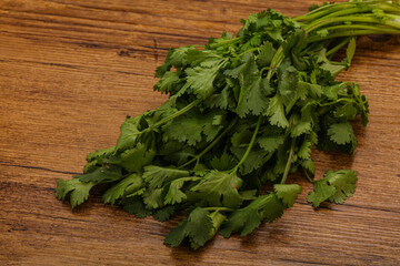 Green coriander or cilanto leaves heap