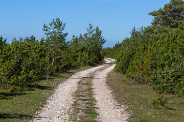 gravel country road