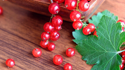 wet red currant on brown wooden table.