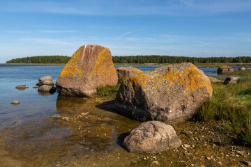 Sea coast on a sunny day at vormsi island © EriksZ