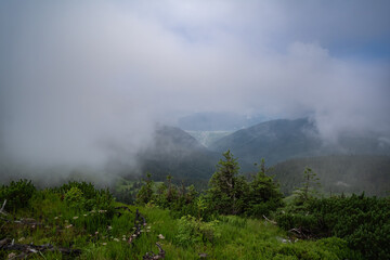 Fototapeta na wymiar Clouds are rolling through after the rain in the Great Smoky Mountains National Park in Western North Carolina.