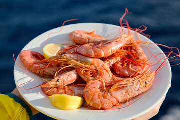 a plate with shrimps in girl hands on sea backgraund
