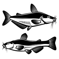 Set of illustration of catfish in engraving style. Design element for logo, label, sign, poster, t shirt.