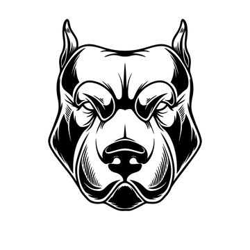 Illustration of head of pit bull in vintage monochrome style. Design element for logo, emblem, sign, poster, card, banner.