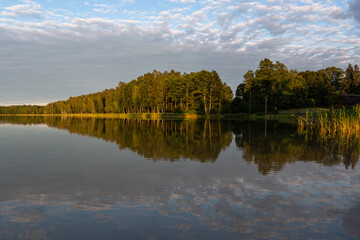 Fototapeta premium sunlit trees with shadows with reflections
