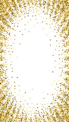 Round gold glitter luxury sparkling confetti. Scat