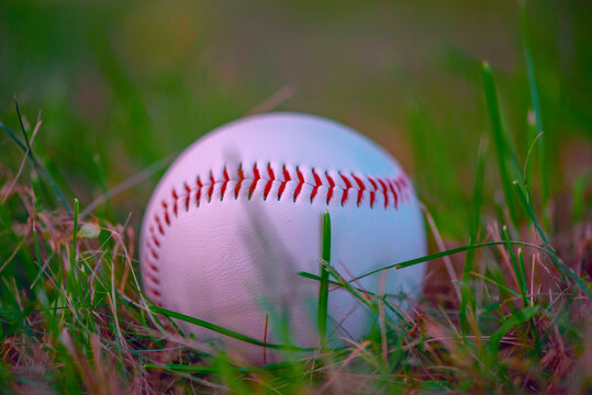 Baseball ball on green grass. Close-up photographed.
