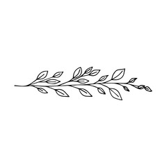 Hand-drawn image of a branch of grass with small leaves. Grass weed. Black and white vector image. Idea for decoration, children's creativity, printing.