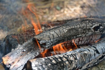 
bonfire wood fire flame sparks 