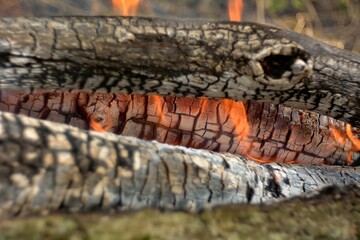 
bonfire wood fire flame sparks 