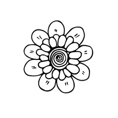 Hand-drawn stylized image of a chamomile. Lush chamomile. Black and white vector image. Idea for decoration, children's creativity, printing.
