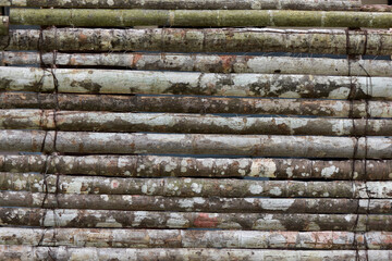 long old wooden logs folded horizontally close-up