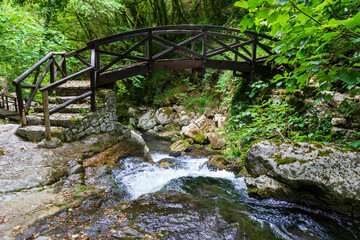 bridge on stream in morigerati in Cilento National Park
