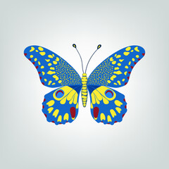 Fototapeta na wymiar Bright butterfly on a light gray background, vector drawing