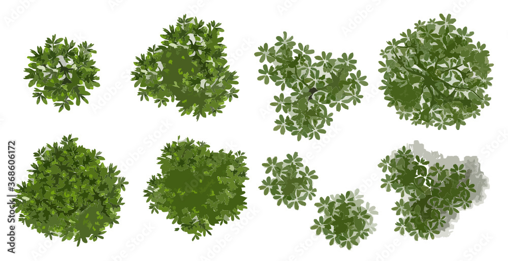 Wall mural set of tree top view for landscape plan and architecture layout