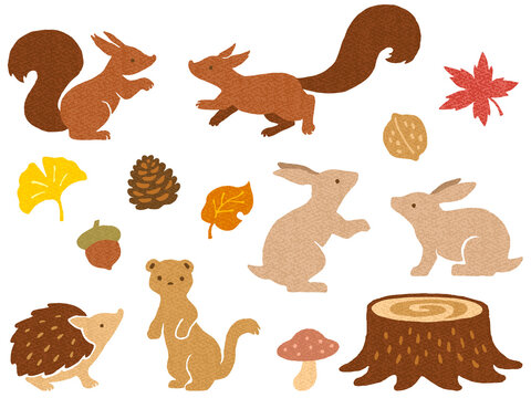秋の紅葉と森の小動物のイラストセット 画用紙テクスチャ Stock ベクター Adobe Stock 秋の紅葉と森の小動物のイラストセット 画用紙テクスチャ Stock ベクター Adobe Stock