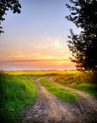Abendstimmung an einem Feldweg in Mecklenburg