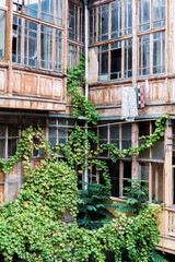 Fototapeta na wymiar Wine leaves growing on houses in Old Tbilisi, Georgia, Caucasus, Middle East, Asia
