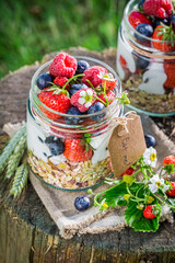 Closeup of breakfast with berries and yogurt in garden