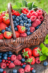 Closeup of healthy berries in summer garden © shaiith