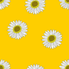 Flowers seamless pattern, Daisy flowers blossom on yellow wallpaper.	