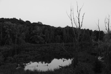 Fototapeta premium black and white photography of the lake