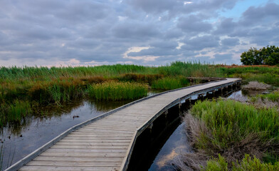 Fototapeta premium Marjal del Moro wetland nature reserve footbridges on the water in Valencia Spain