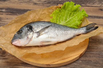 Raw Dorada fish  for cooking