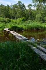 Naklejka premium wooden boardwalk across the river