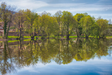 Reflection of the shore trees in the river in the spring.