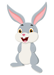 Cute rabbit cartoon 