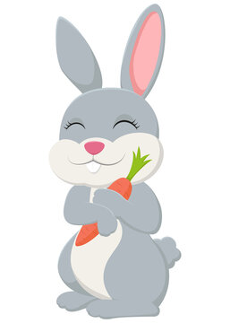 Cute rabbit cartoon 