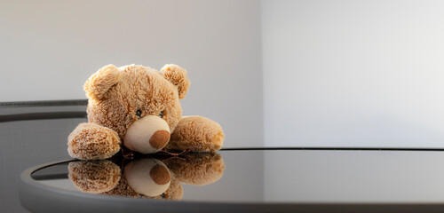 Teddy bear soft toy sits at a black glossy table, reflection. Light interior background, white walls. Flower in a flowerpot.