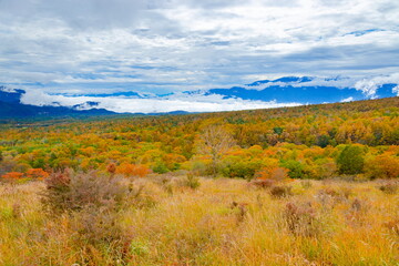 美し森山から眺める紅葉と雲海に覆われた甲府盆地、山梨県北杜市清里高原にて