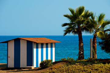 Palm trees and beach huts on Playa del Penoncillo Torrox Costa Andalusia Axarquia Costa del Sol Spain