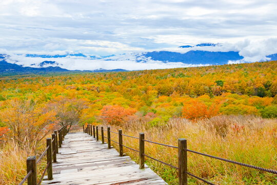 650 Best 甲府盆地images Stock Photos Vectors Adobe Stock