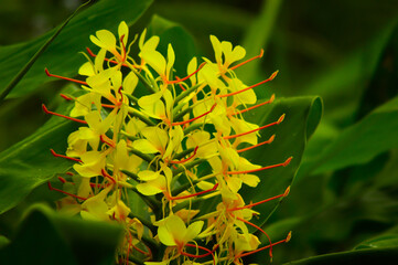 synchronised dancing